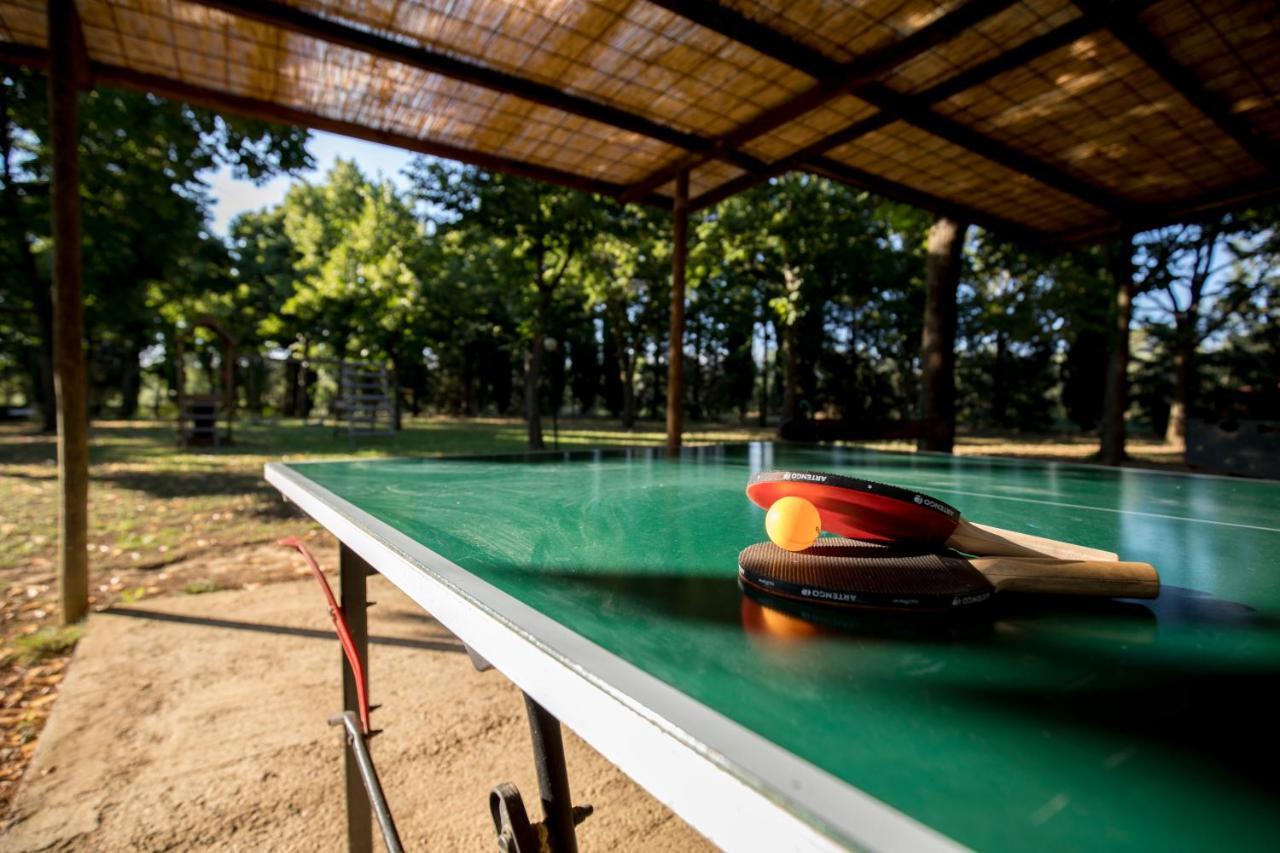 Agriturismo Pometti - Fattoria La Selva Trequanda Eksteriør billede