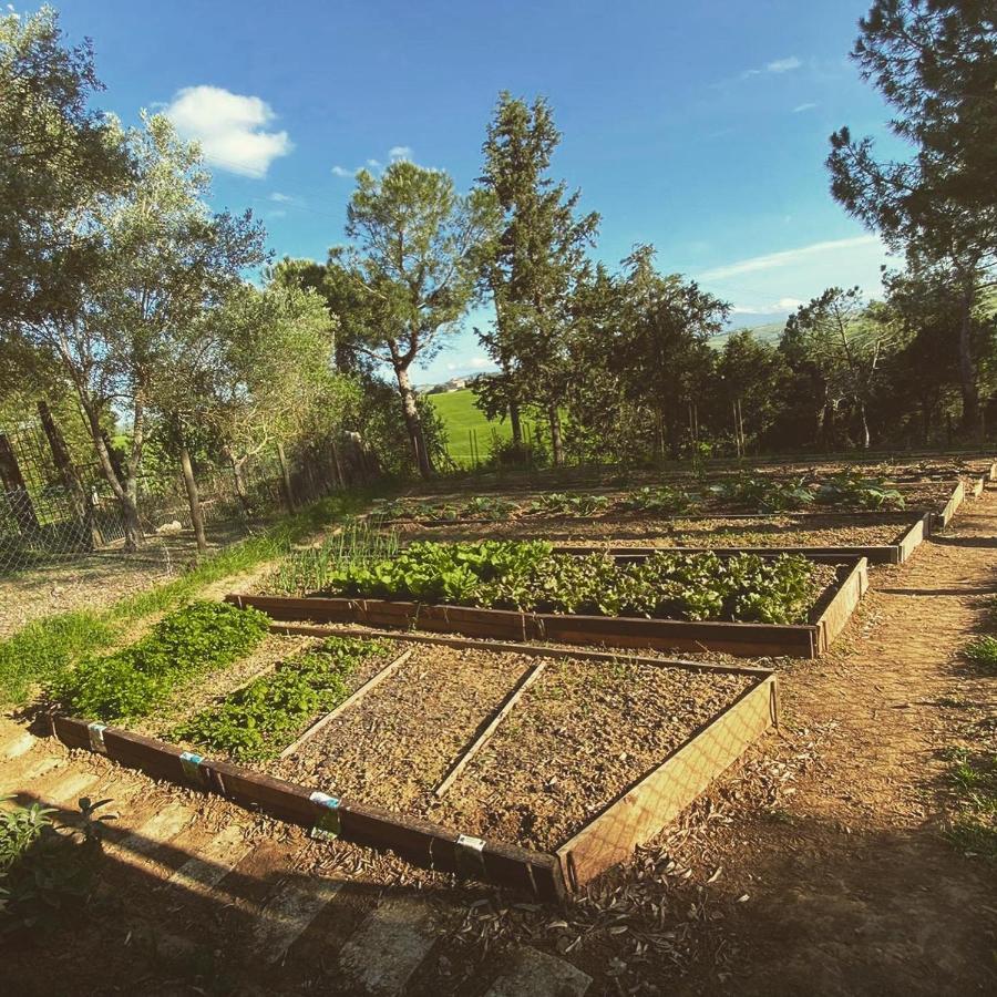 Agriturismo Pometti - Fattoria La Selva Trequanda Eksteriør billede